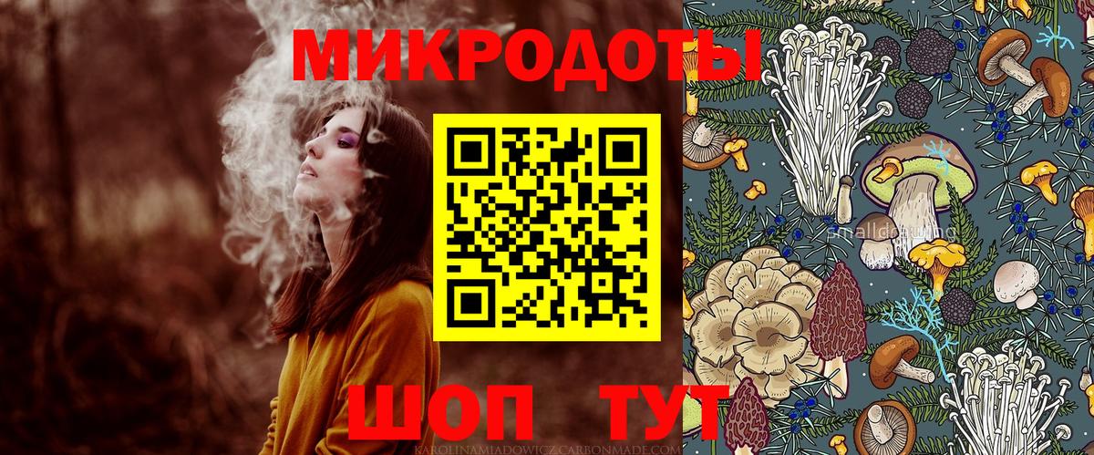 Галлюциногенные грибы Psilocybine cubensis Лысьва