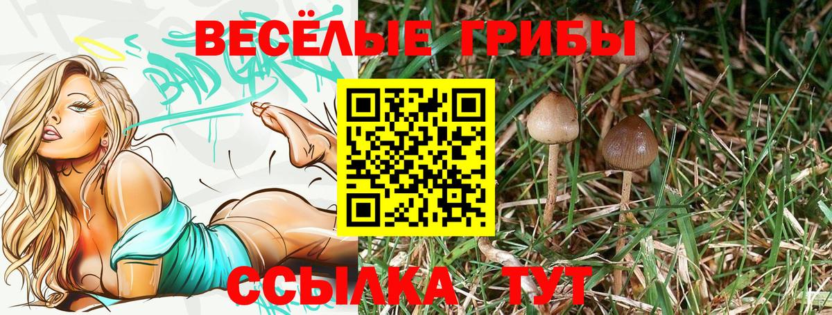Псилоцибиновые грибы GOLDEN TEACHER  Псилоцибиновые грибы ЛСД  Вход с VPN  Лысьва 